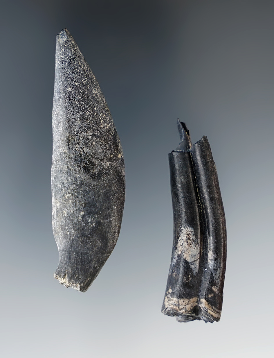 Main artifact image