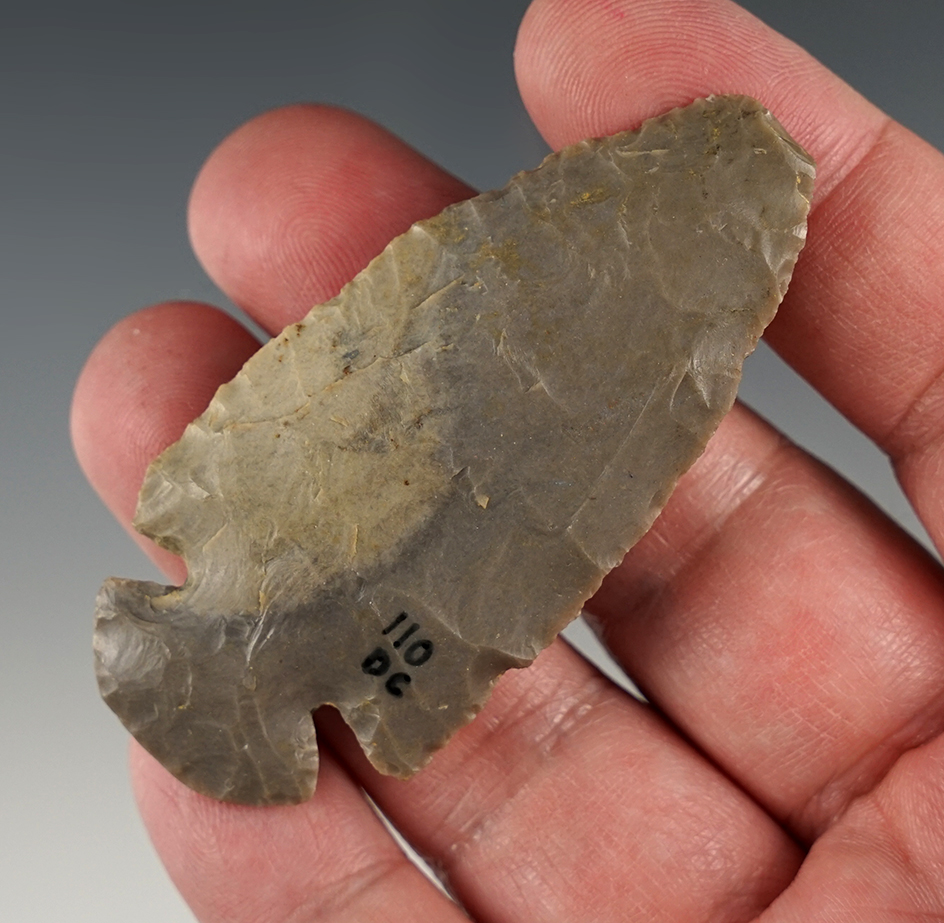 Nice 2 3/4" Hornstone Dovetail found in Hardin Co., Kentucky. Small impact fracture to the tip.
