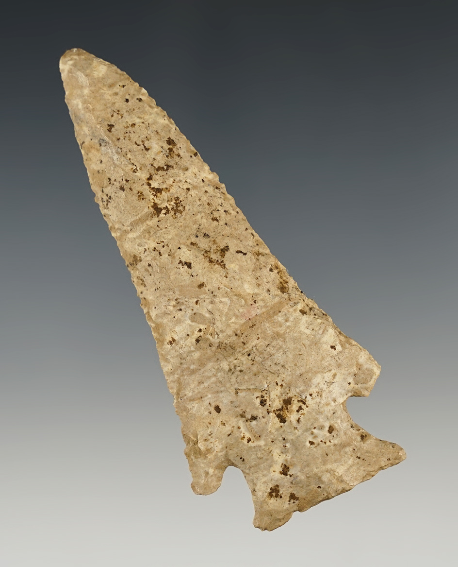 Nice 3 1/2" Hardin found in Garrard Co., Kentucky. Ex. Bob East collection.
