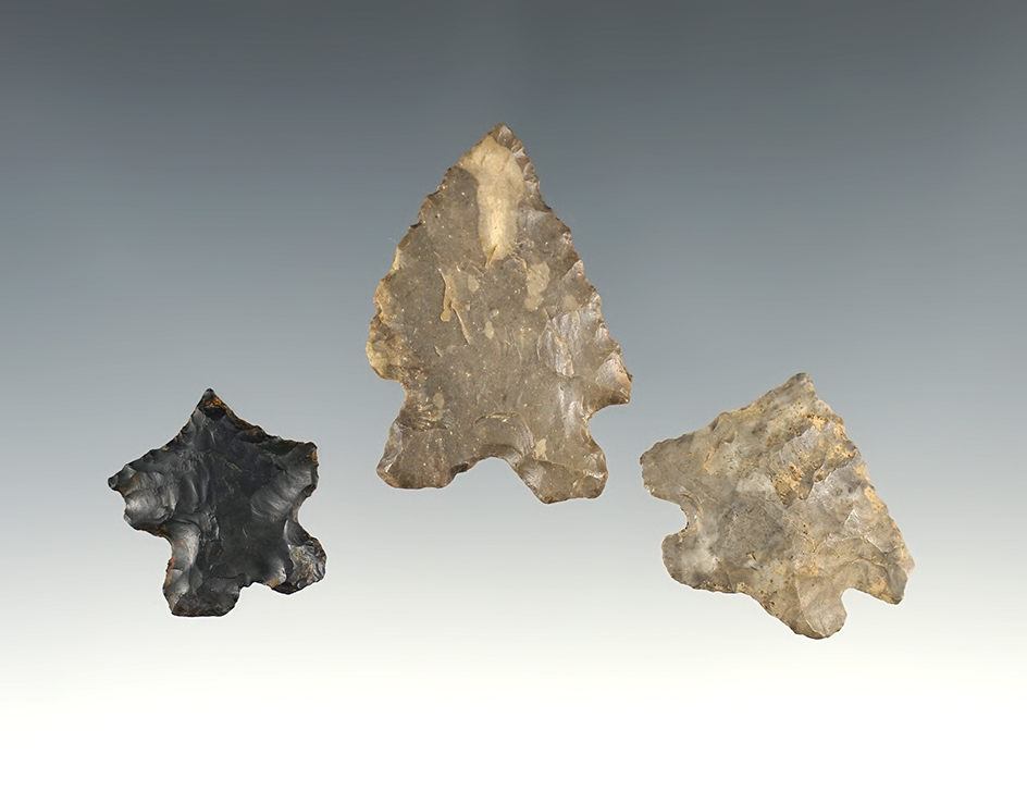Set of 3 nice Ohio Bifurcates found in Coshocton and Fairfield Co., Ohio. The largest is 1 11/16".