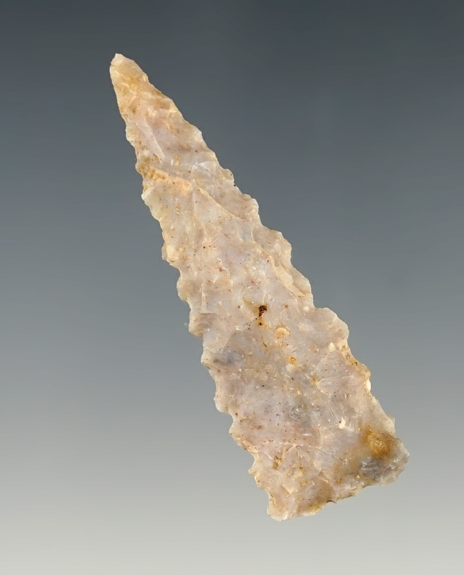 Nicely serrated 2" Ft. Ancient Triangle point found in Kentucky.