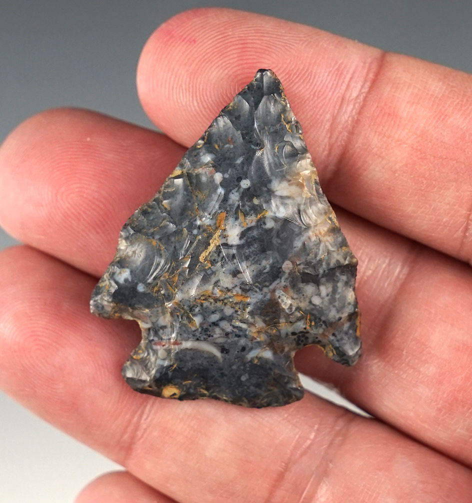Great style on this 1 9/16" Pentagonal point found in Tuscarawas Co., Ohio. Coshocton flint.