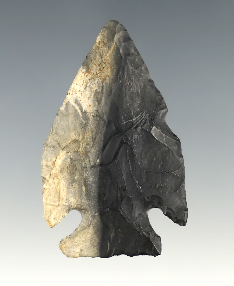 1 7/8" Classic Intrusive Mound Point, fine and thin, made of Coshocton with split color.