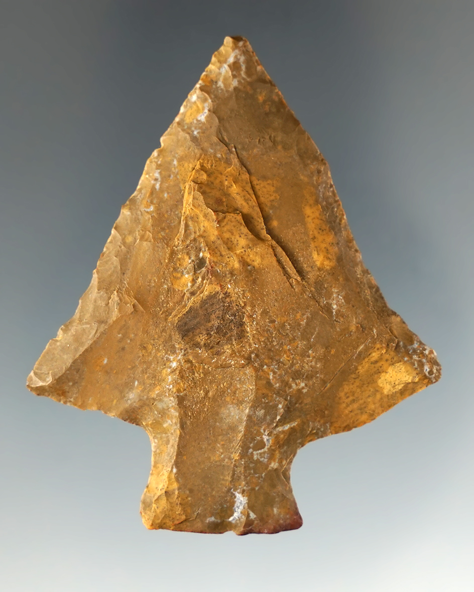 Main artifact image