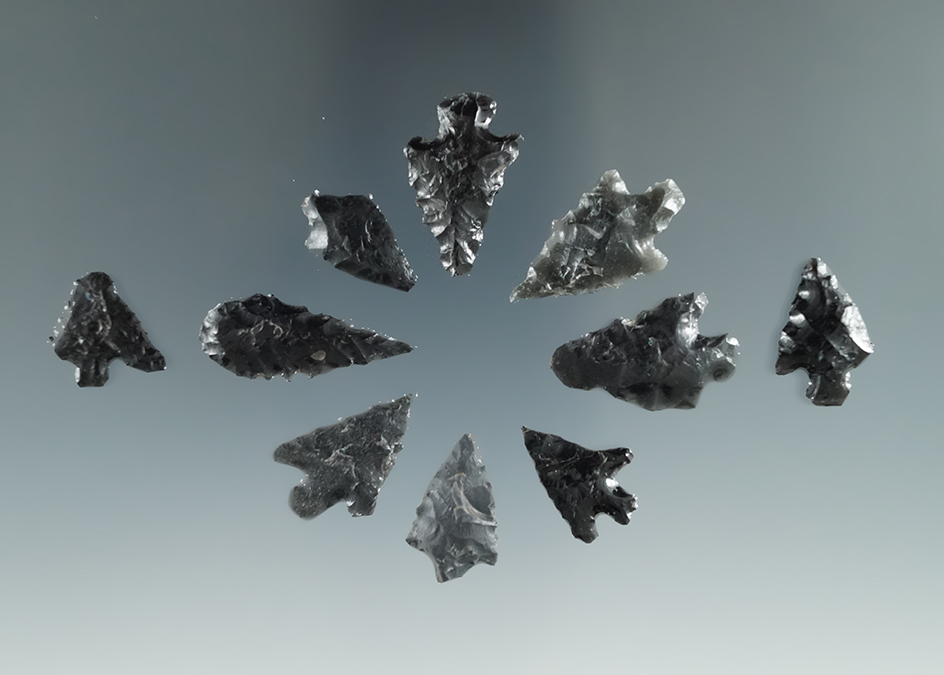 Group of ten Calapooya Points, longest is 1", found near Fern Ridge Reservoir, Eugene, Oregon.