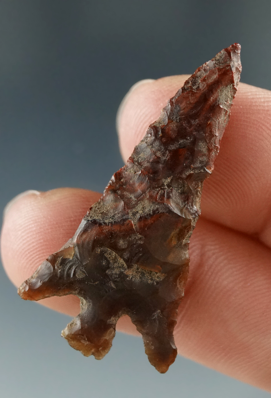 1 1/2" Columbia Plateau made from Translucent Root beer Agate, found near the Columbia River.