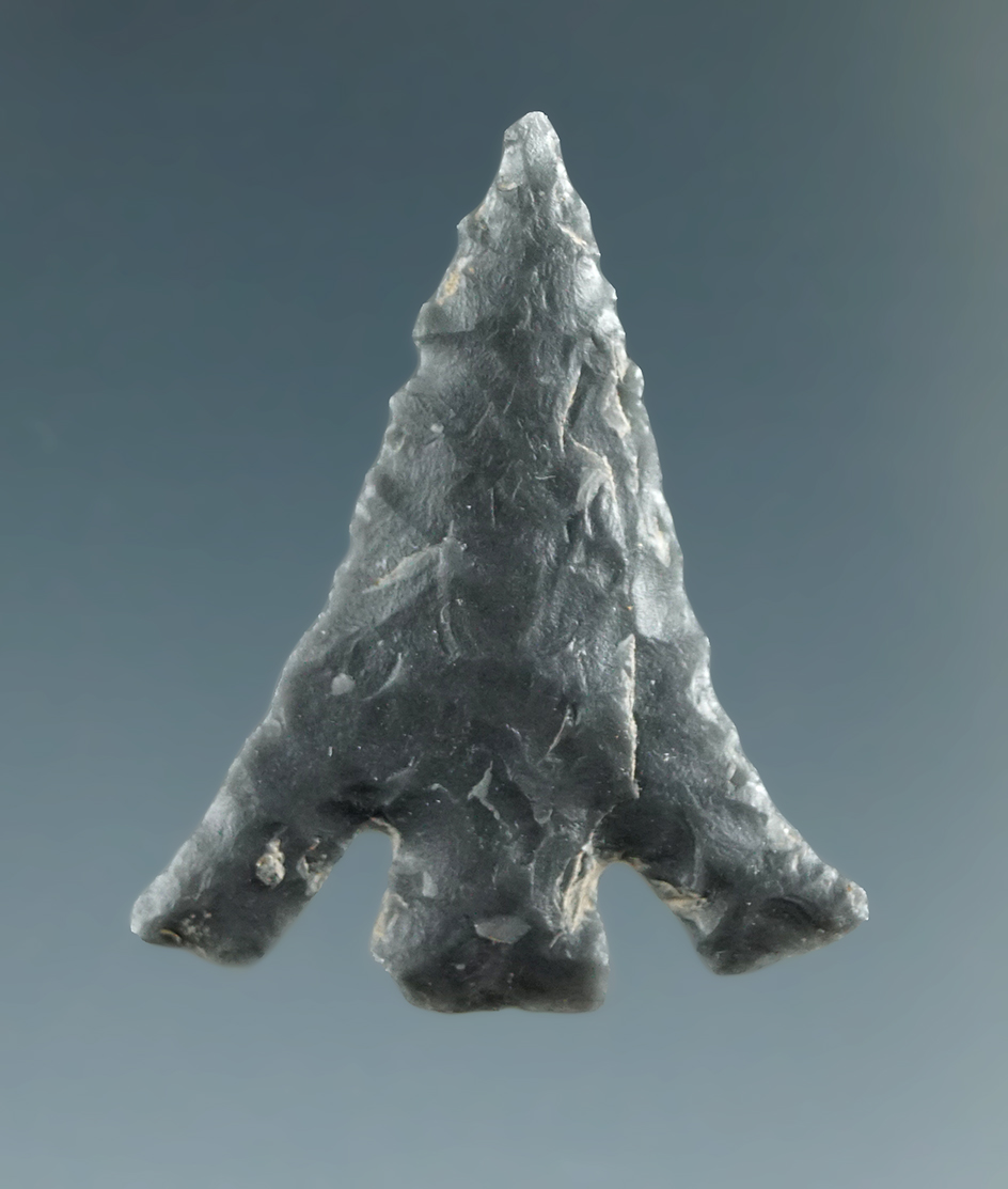 1" Columbia Plateau "Square Wing" made from Black Jasper, found near the Columbia River.