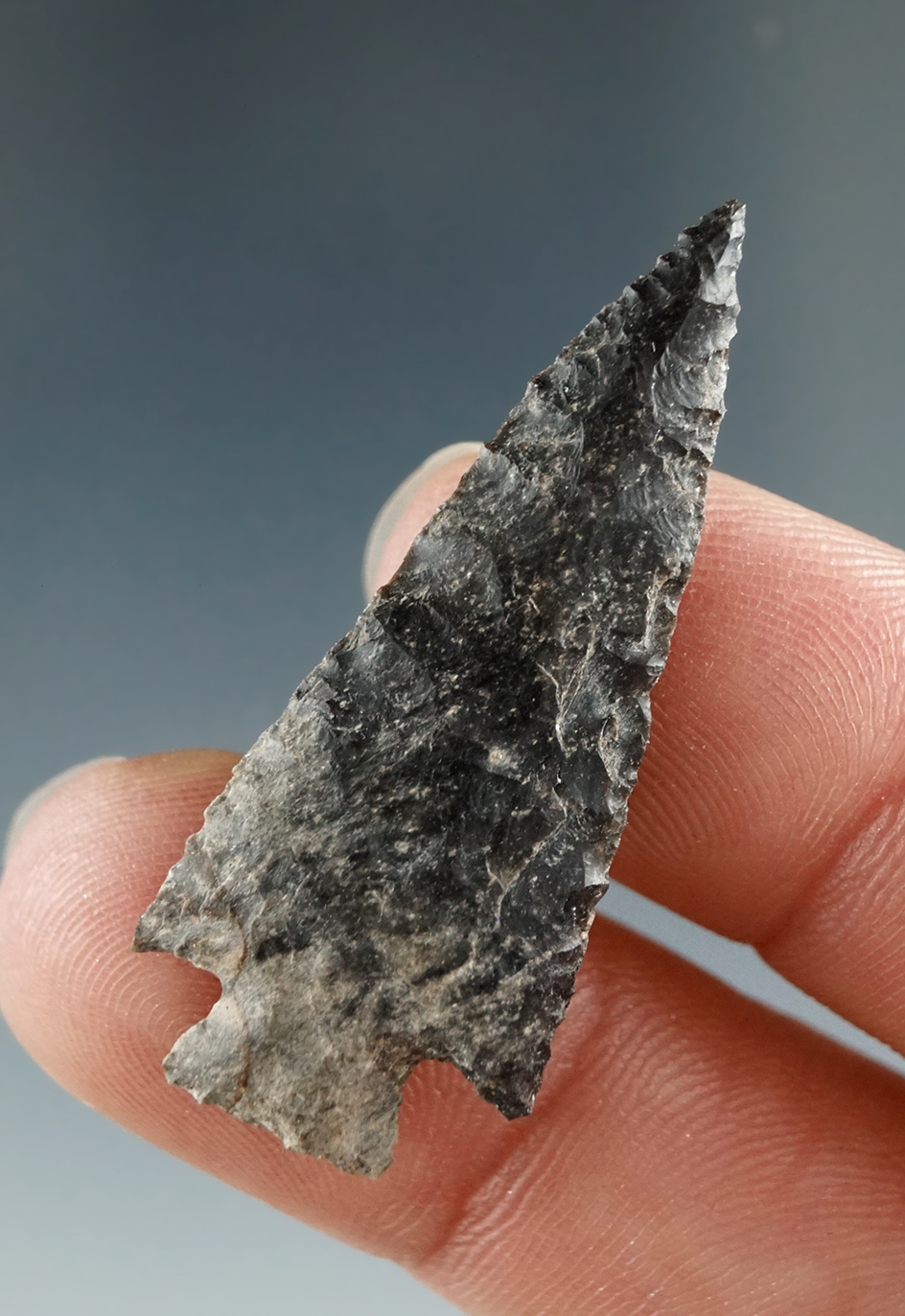 1 1/2" Square Stem Dart made from Brown Jasper, found near the Columbia River.