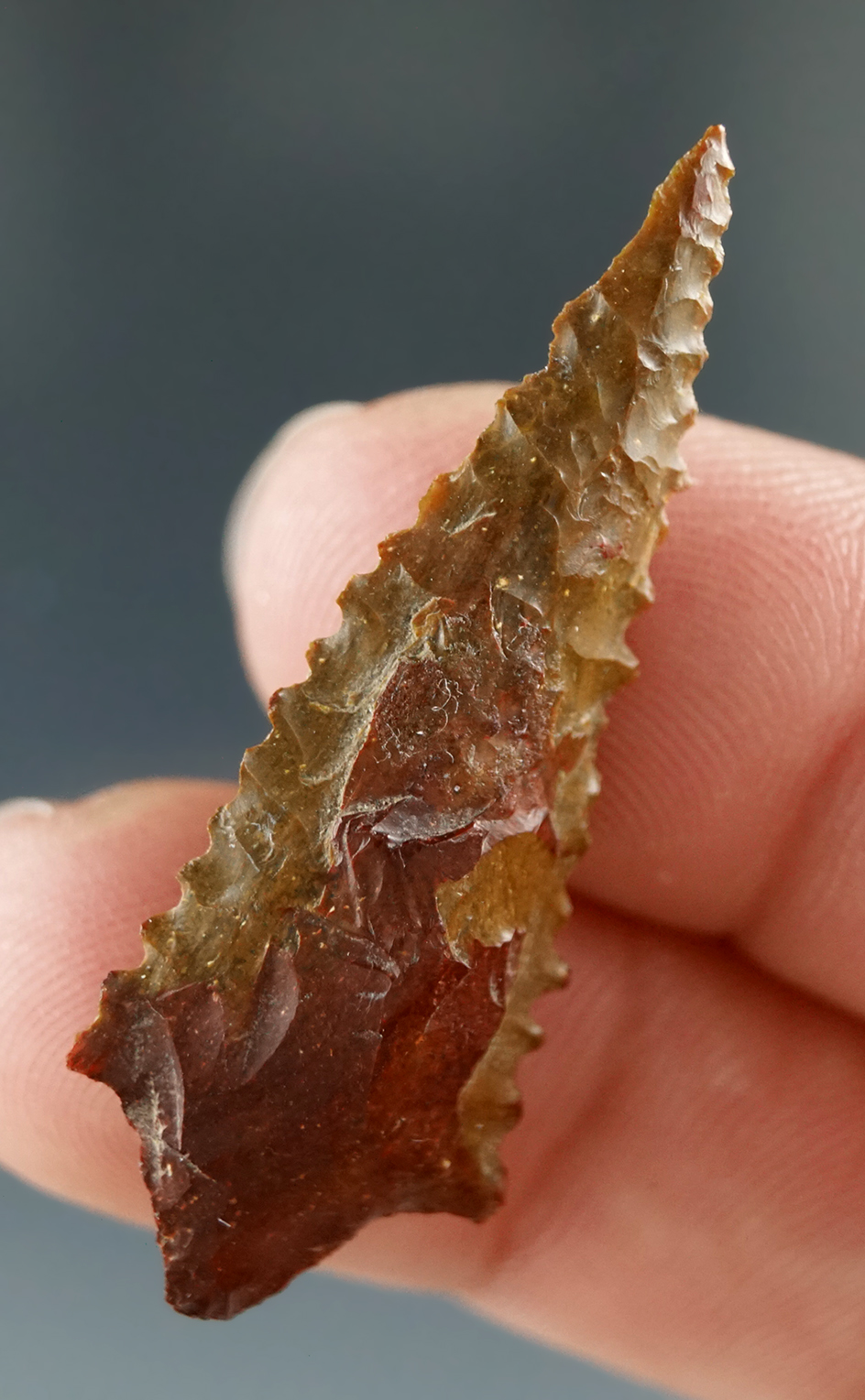 1 5/8" Rabbit Island serrated "superb point" made from Brown Jasper, Columbia River.