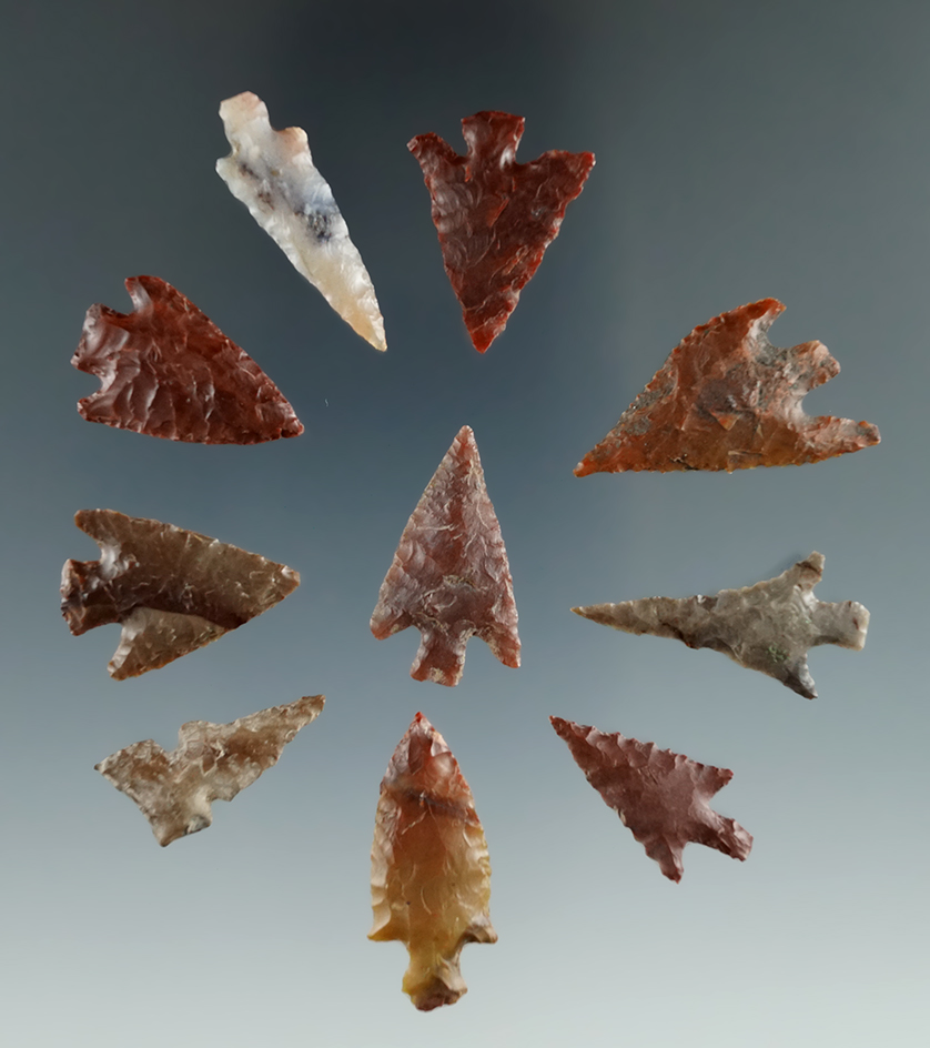 Group of ten Columbia River Points, longest is 1", found near the Columbia River.