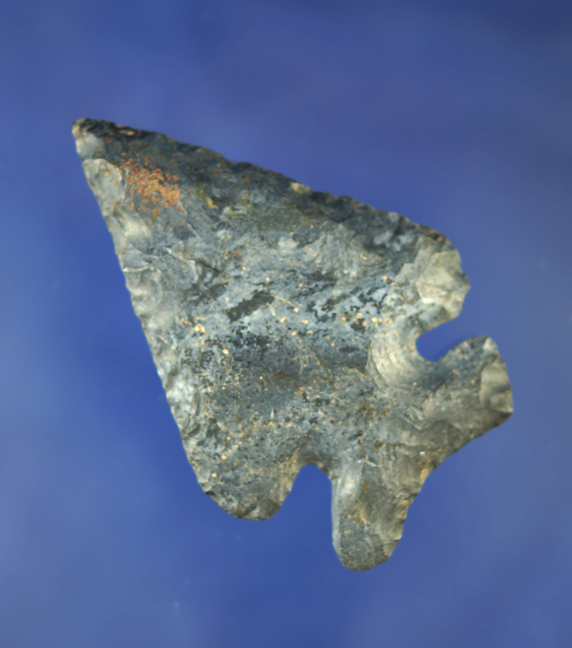 2 5/8" Thebes made from Coshocton Flint found in Delaware Co., Ohio.  Bennett COA.