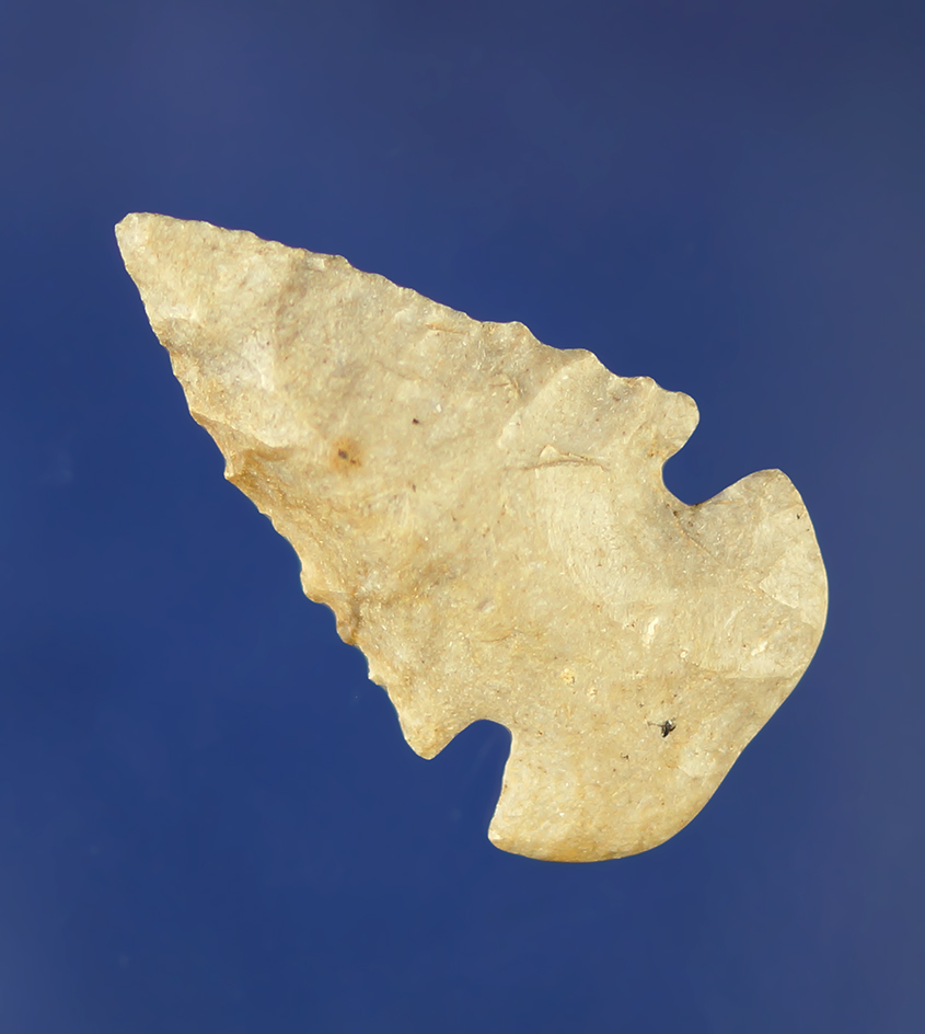 Unique! Miniature 1 9/16" Dovetail found in Barren Co., Kentucky.