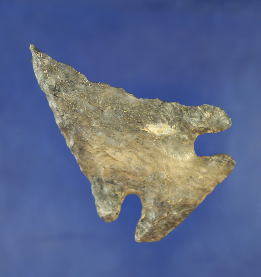 3" steeply beveled Archaic Deep Notch made from Coshocton Flint found in Knox Co.,  Ohio.