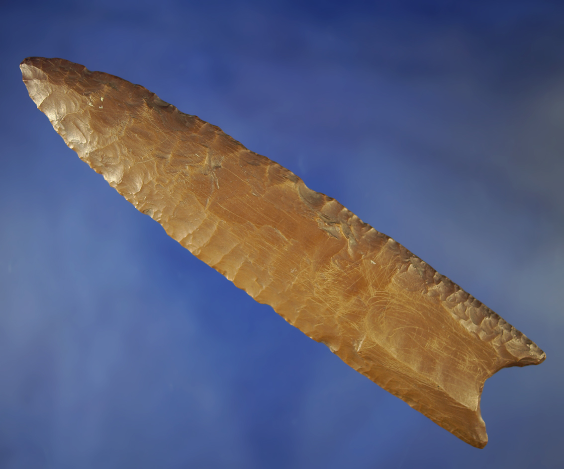 Display item cast of a 5 3/8" long Ohio style Paleo Clovis point.