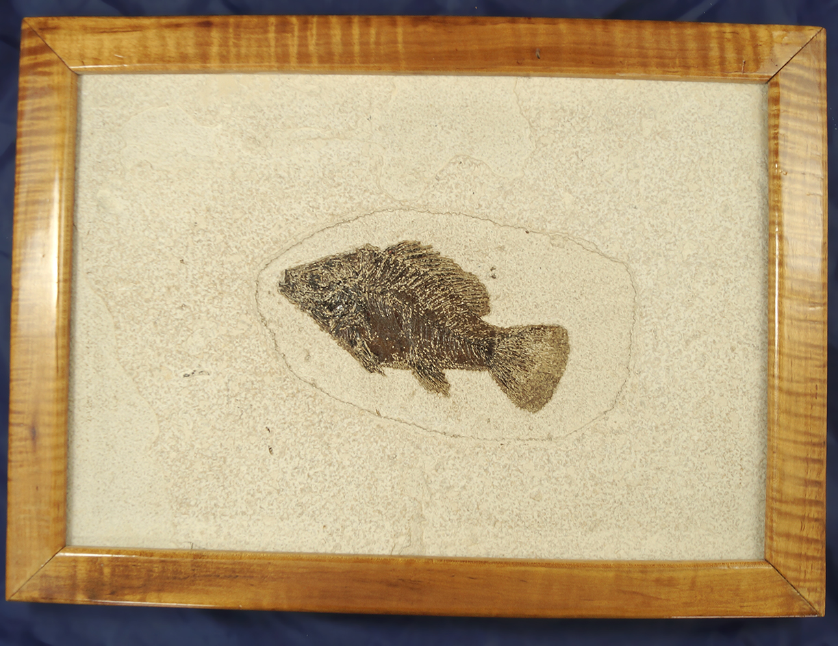 Main artifact image
