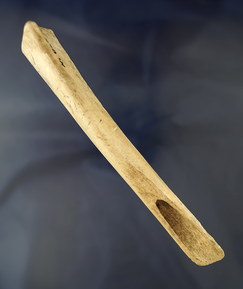 Main artifact image