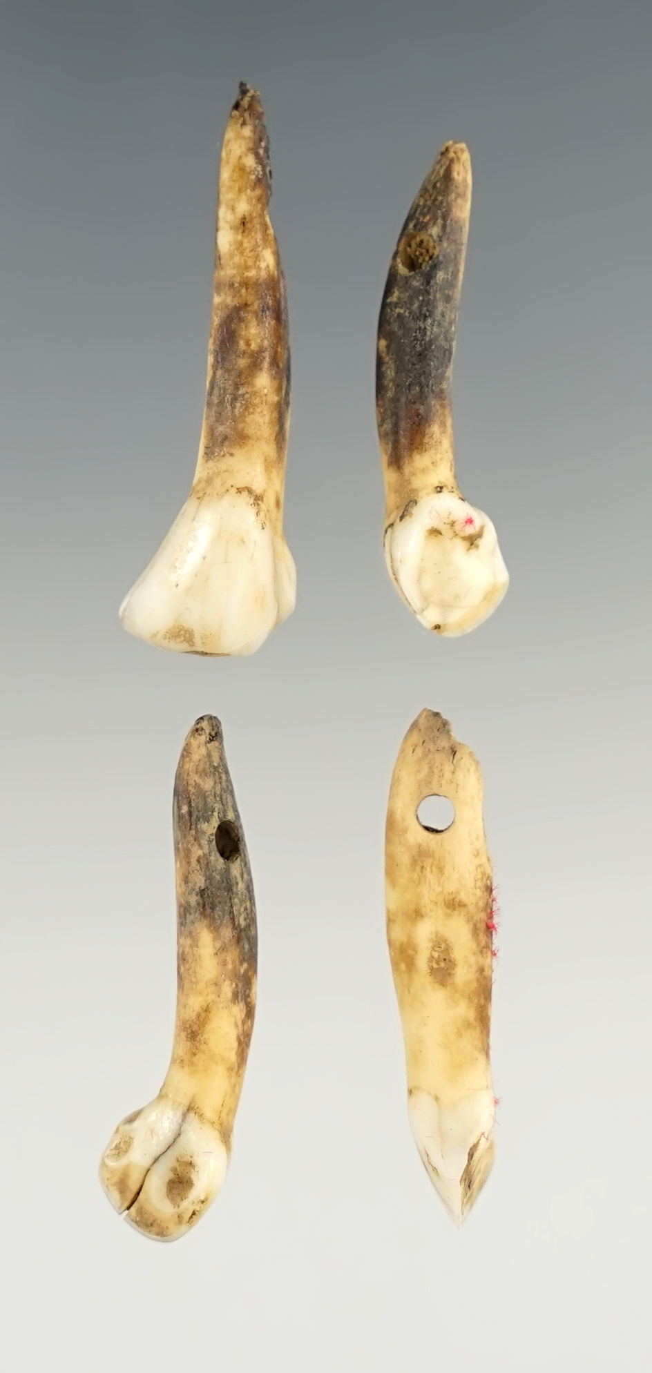 Main artifact image