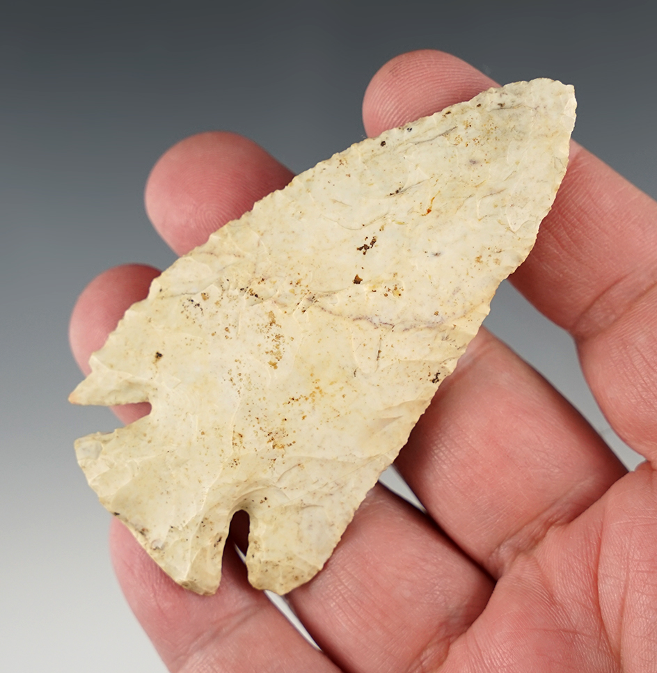 Well patinated 3 5/16" Archaic Bevel found in Muskingum Co., Ohio.