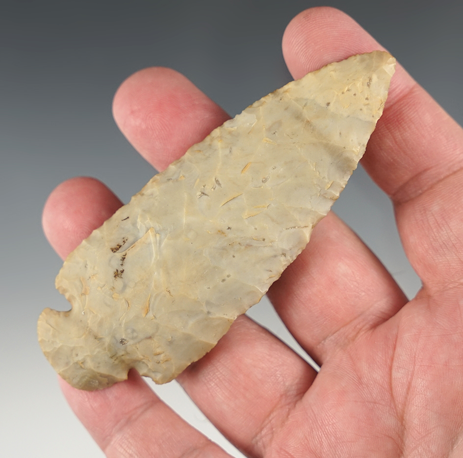 Main artifact image