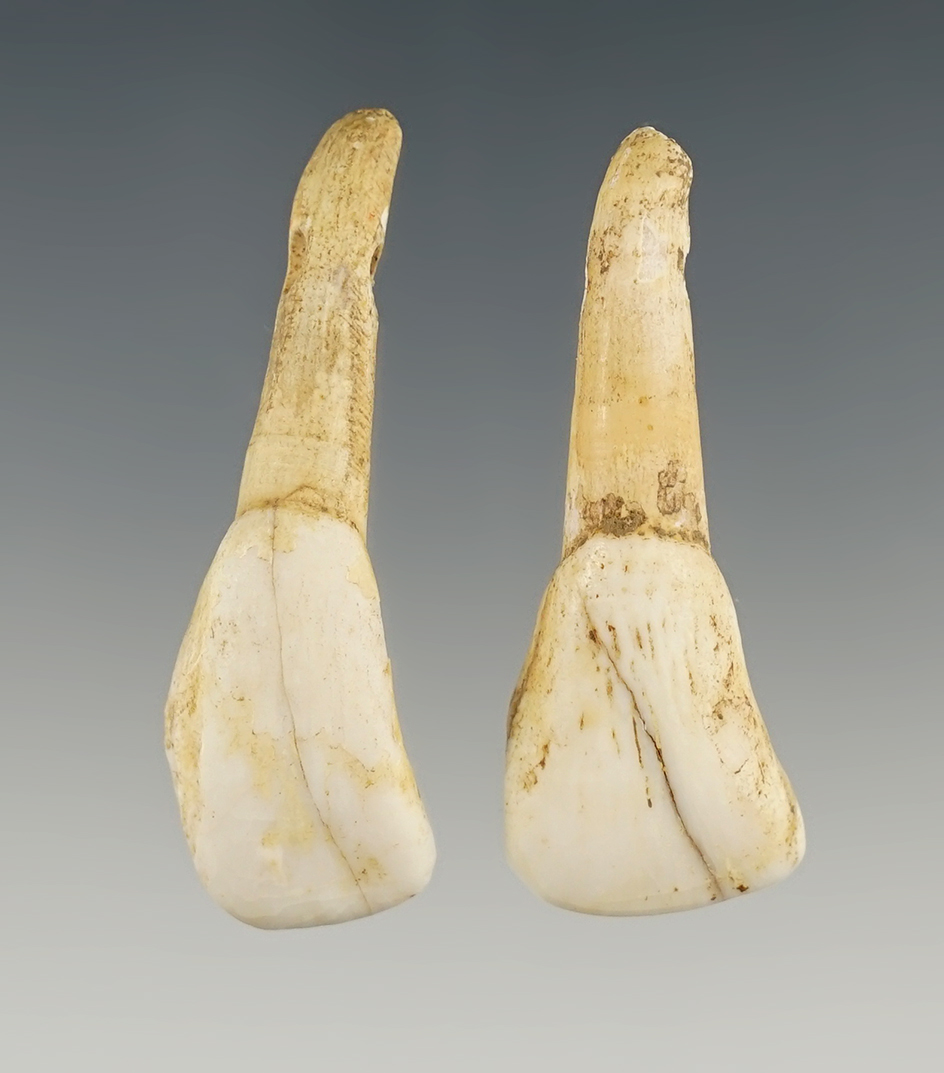 Main artifact image