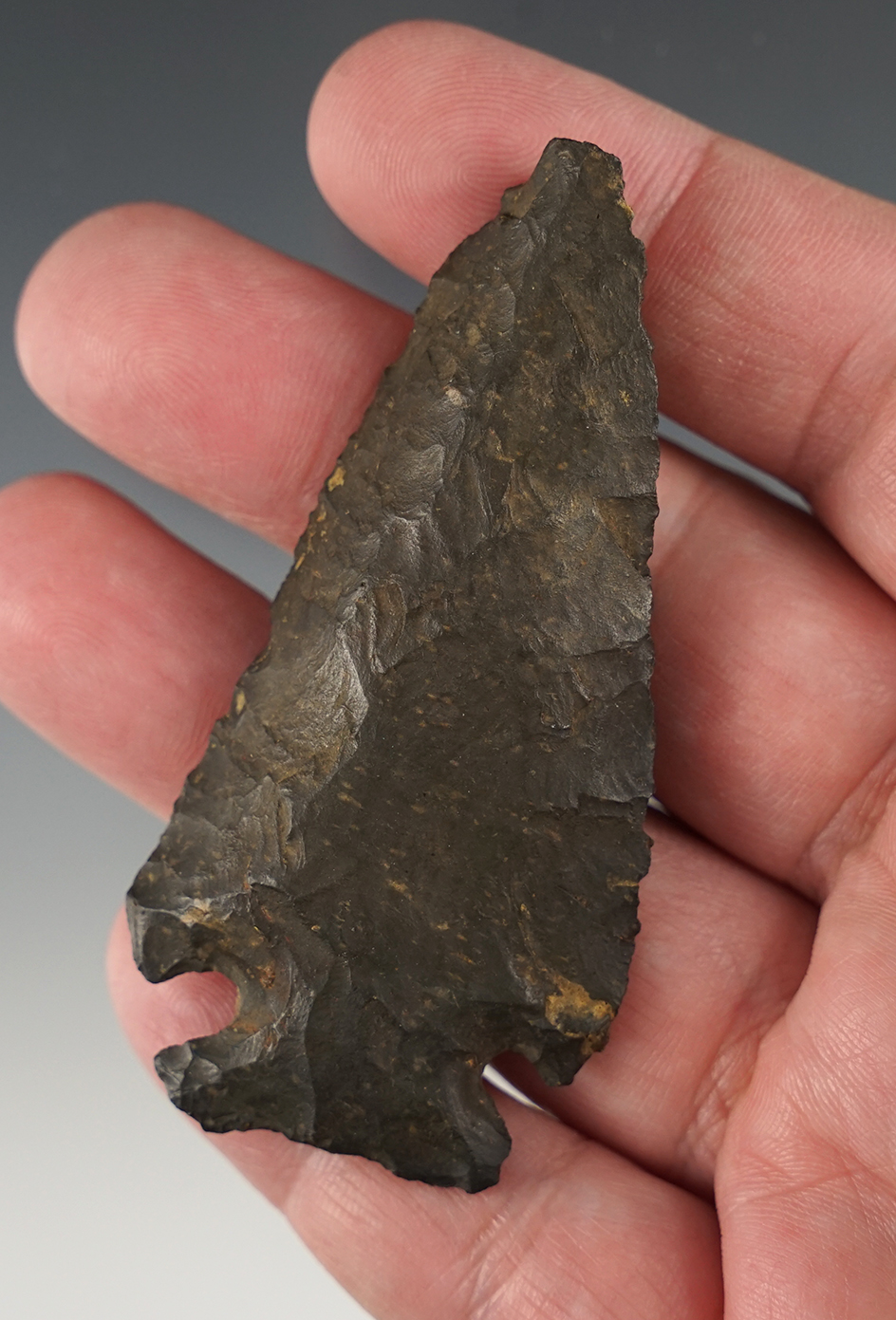 3" heavily patinated Archaic Bevel found in Union Co., Ohio. Ex. Dr. Thompson collection.