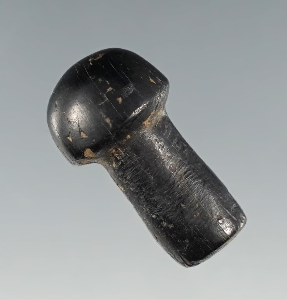 Main artifact image