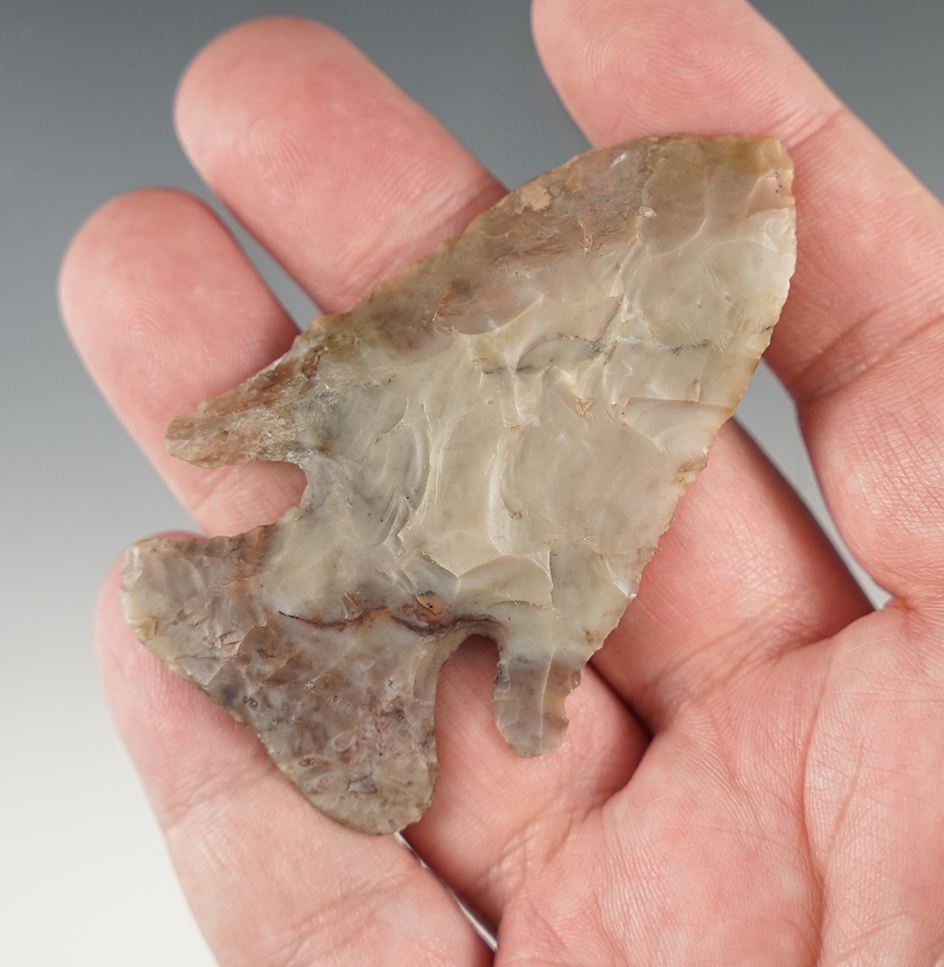 2 13/16" Thebes - One ear and a little bit of one blade edge have been restored. Ex. Meuser.