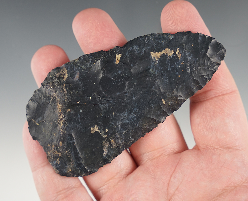 Amazing flaking on this 3 11/16" Ohio Blade in great condition.