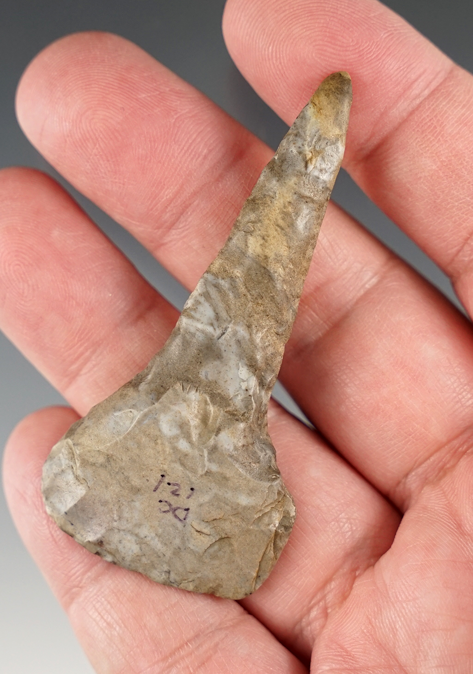 Main artifact image