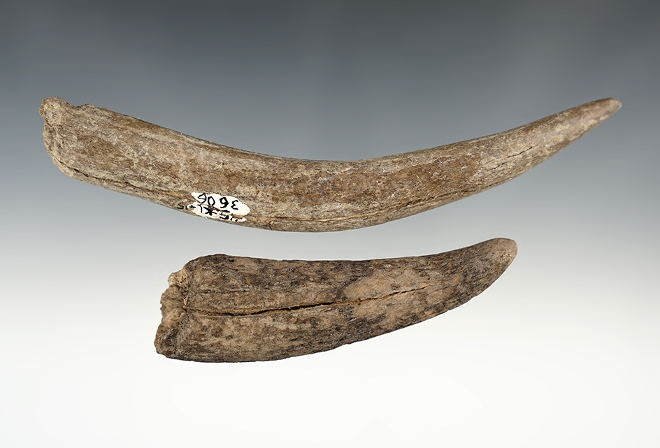 Main artifact image