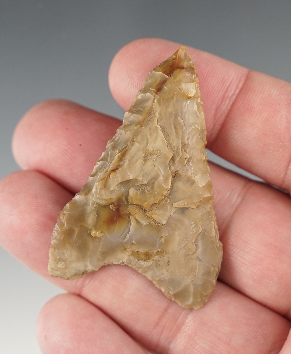 Nice 2 3/16" Mule Ear Knife found in Oregon.