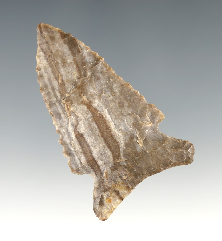 2 3/16" Kentucky Archaic Side Notch in great condition.