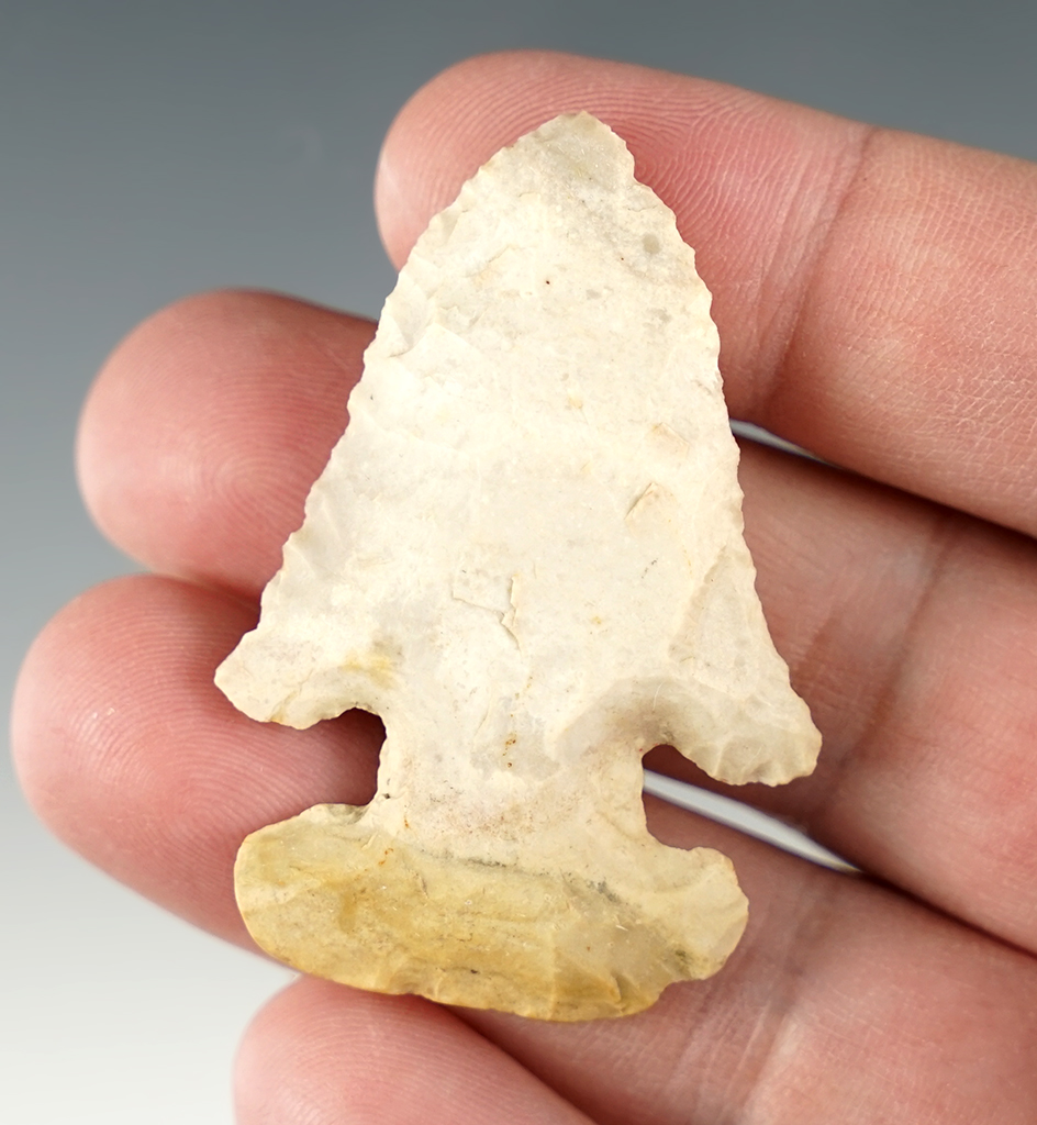 2 1/16" Ohio Thebes E-Notch in fantastic condition.