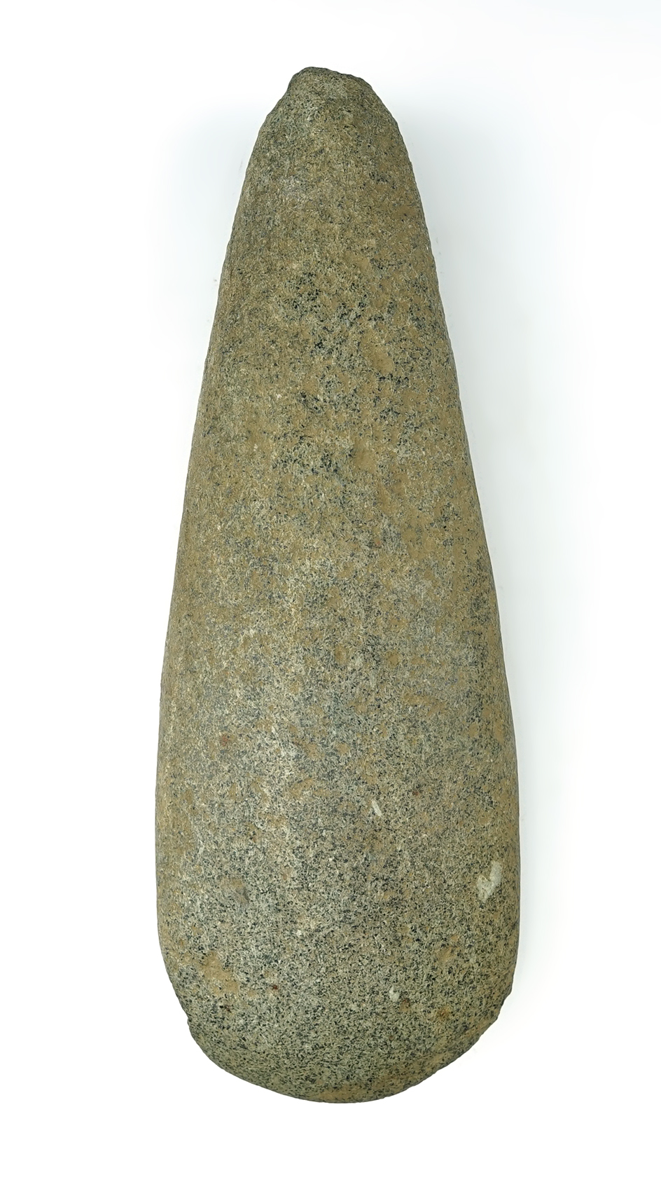 Huge 8 15/16" Celt found by Brandon Fields on the Elk Garden Farm in April of 2016.