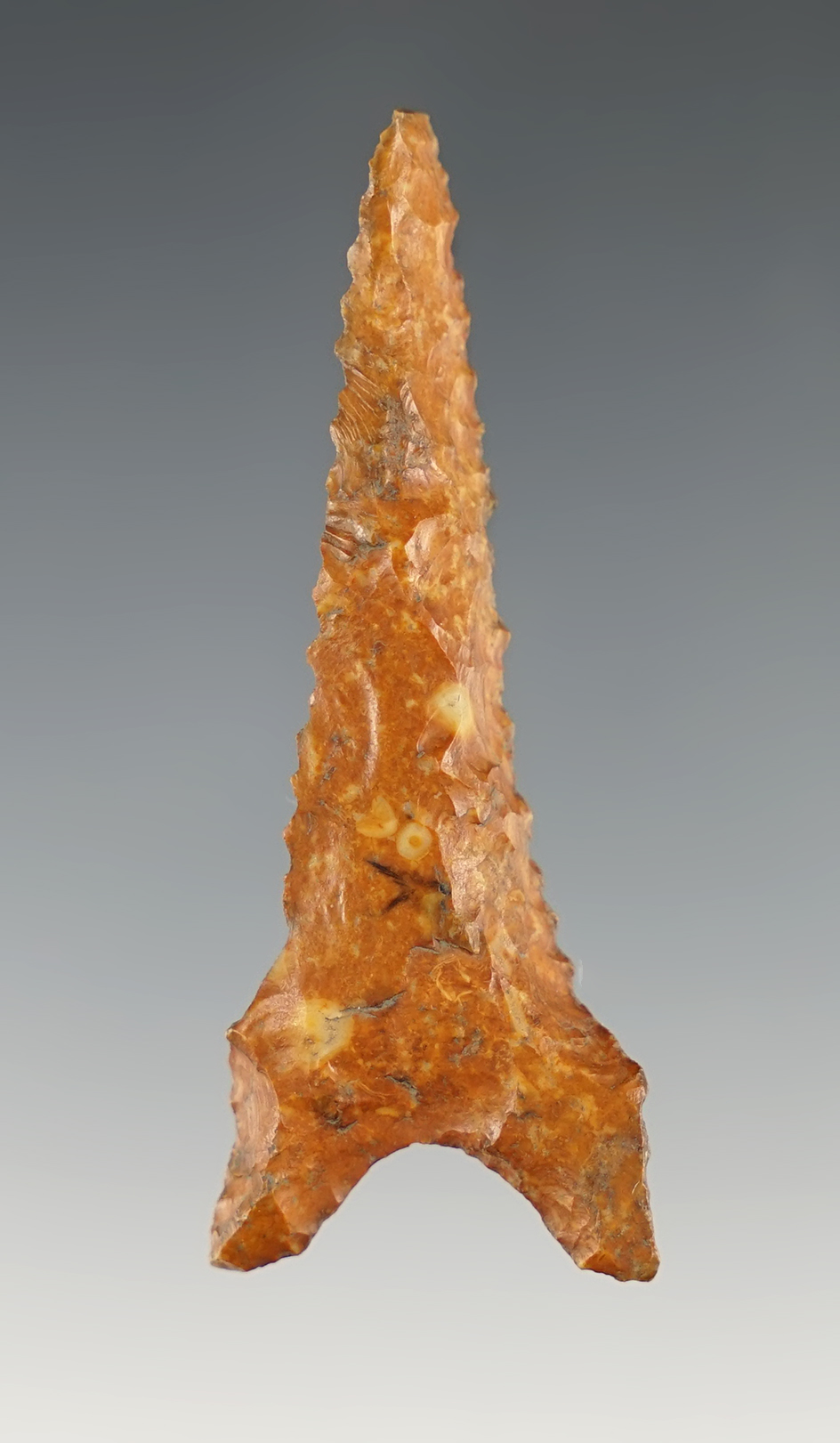 Main artifact image