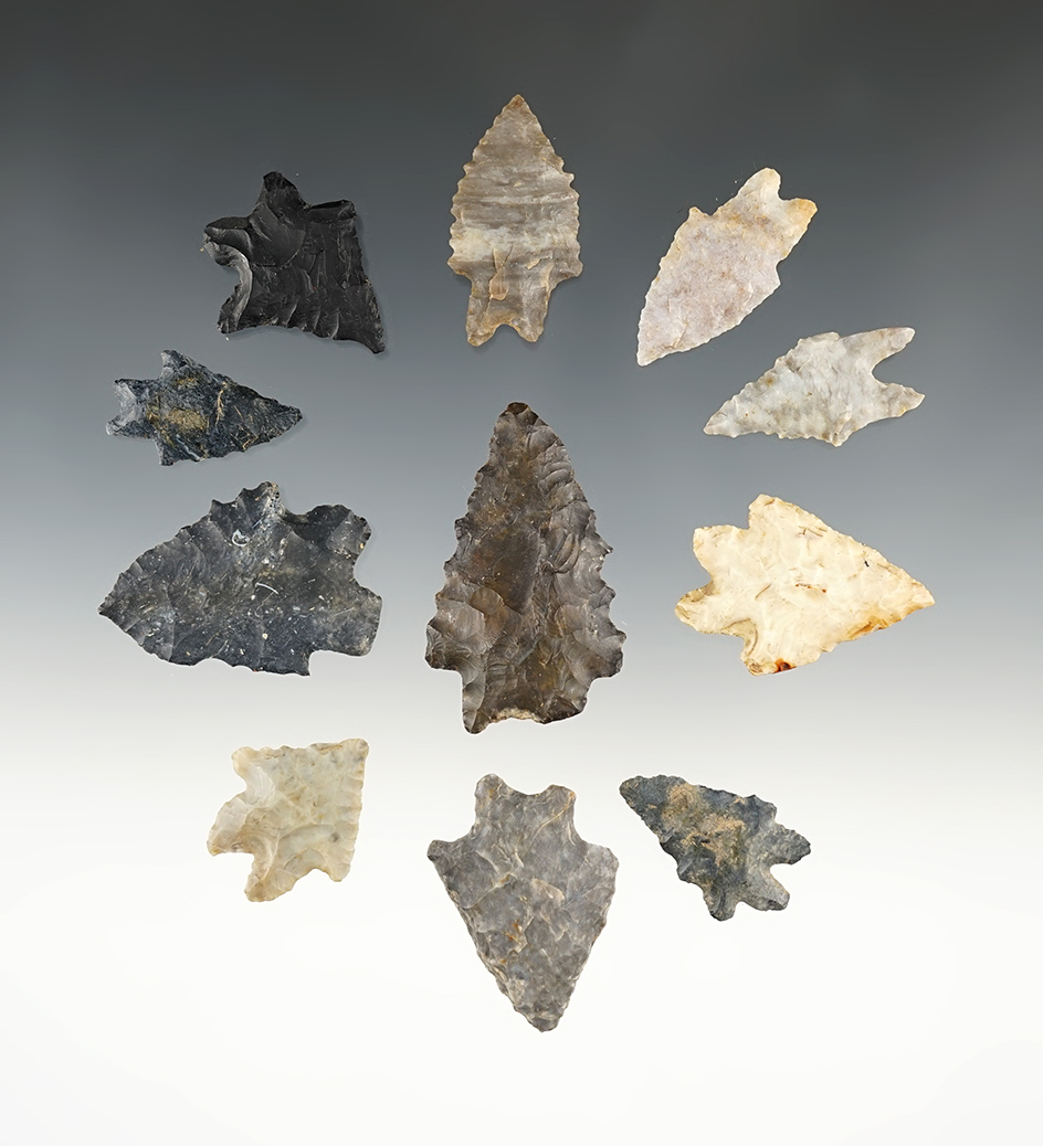 Set of 11 nicely made Bifurcated points found in Ohio. The largest is 2".