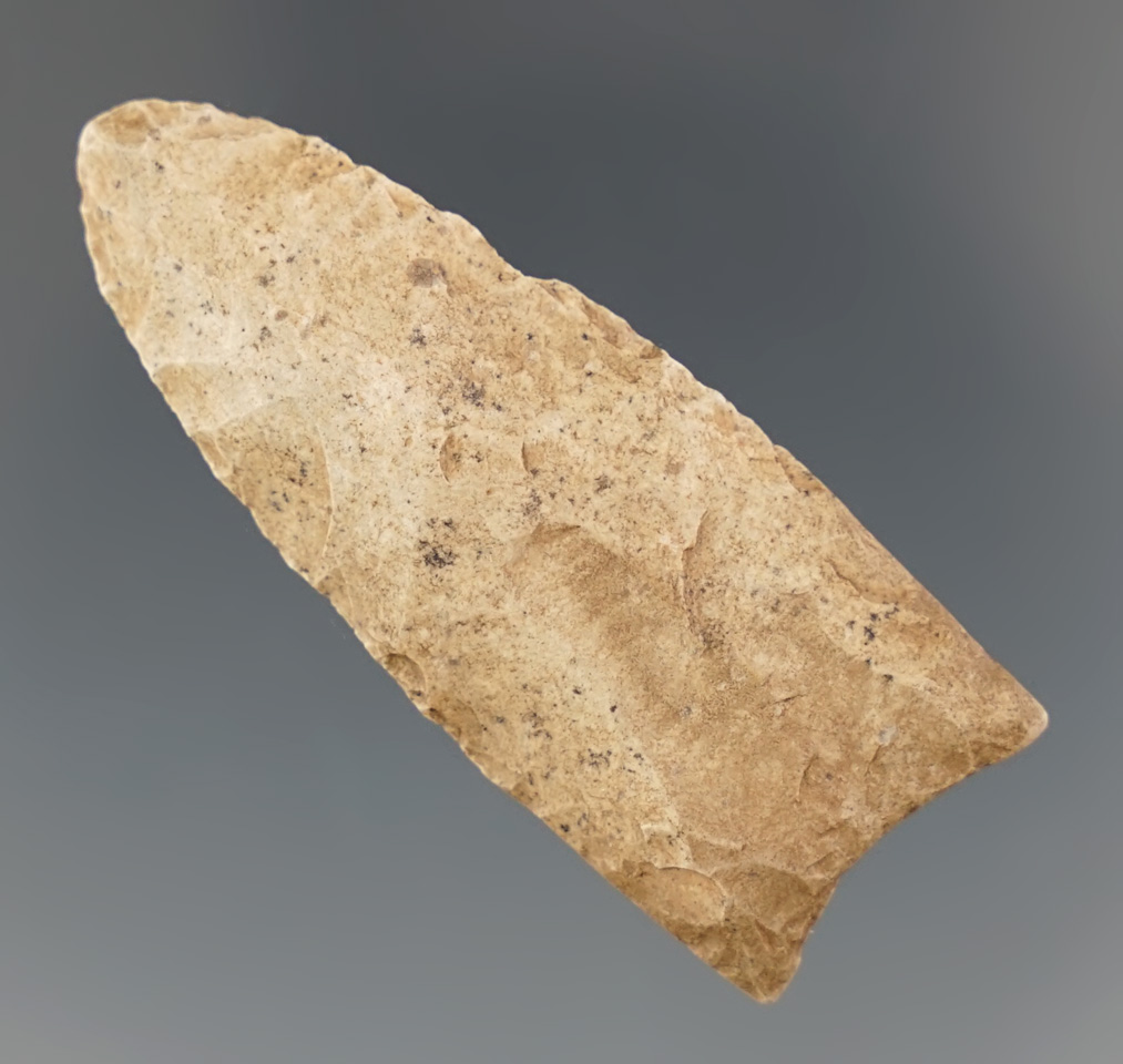 Main artifact image