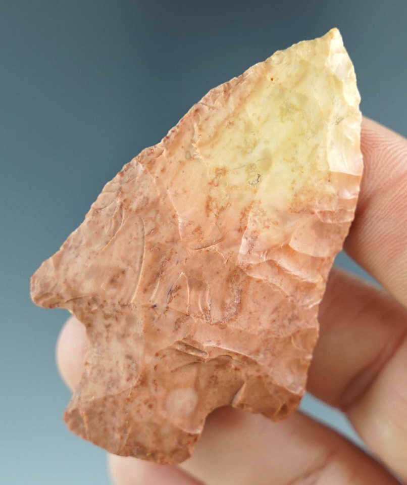 Main artifact image