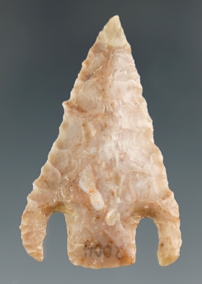 1 5/8" Shumla made from tan Chert with white patina. Found in Zapata Co., Texas. Rogers COA.