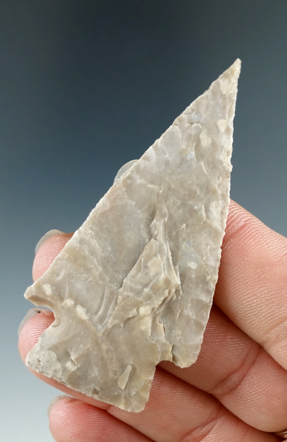 2 9/16" Thin and well styled Lange point found in Texas.