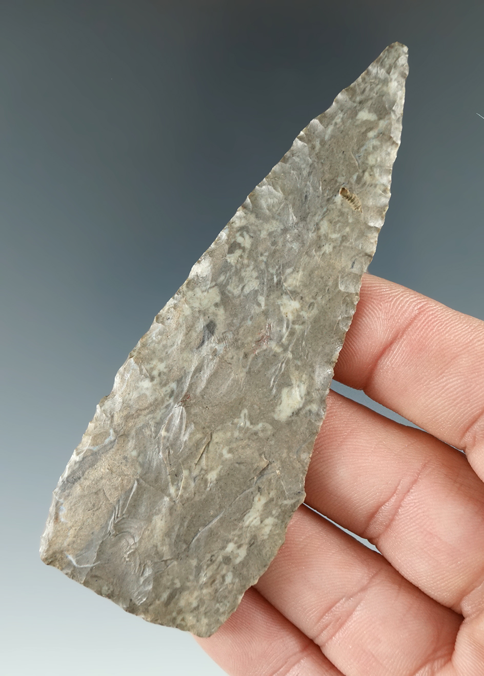 Exceptionally thin! 3 1/2" Meadowood Blade made from Onondaga Flint found in New York.