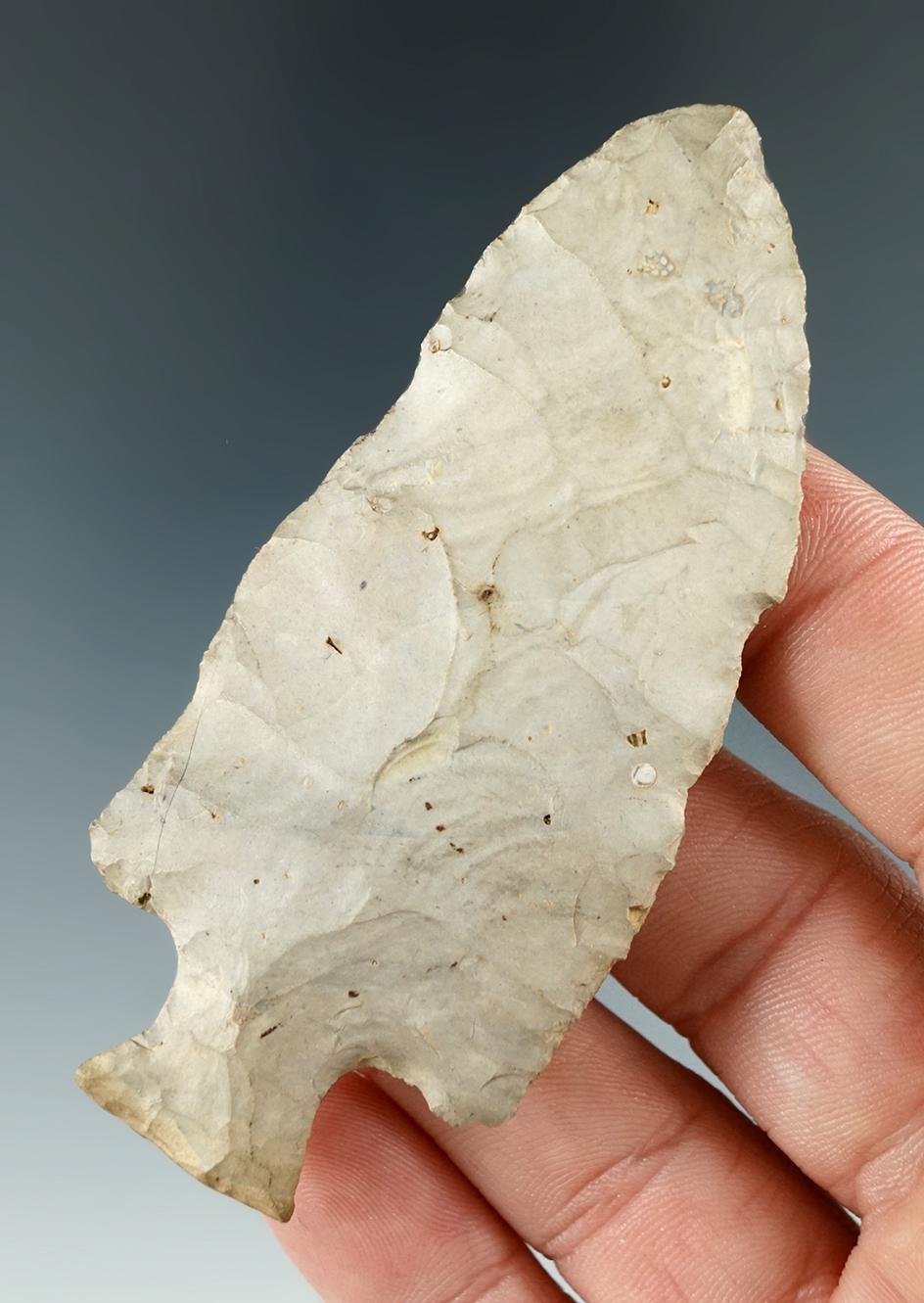 3 3/16" Tablerock/Bottleneck found just east of Gowanda, Erie Co., New York.