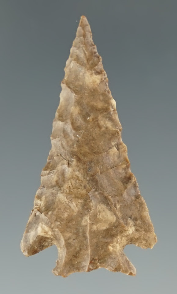 Main artifact image