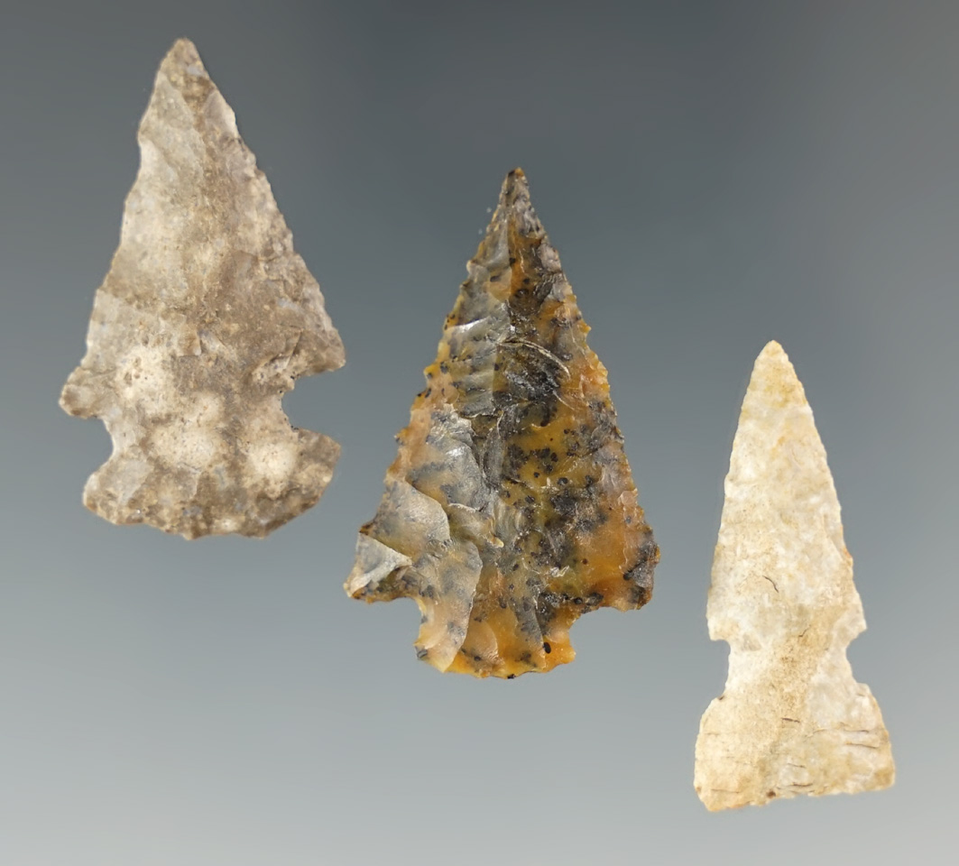 Main artifact image