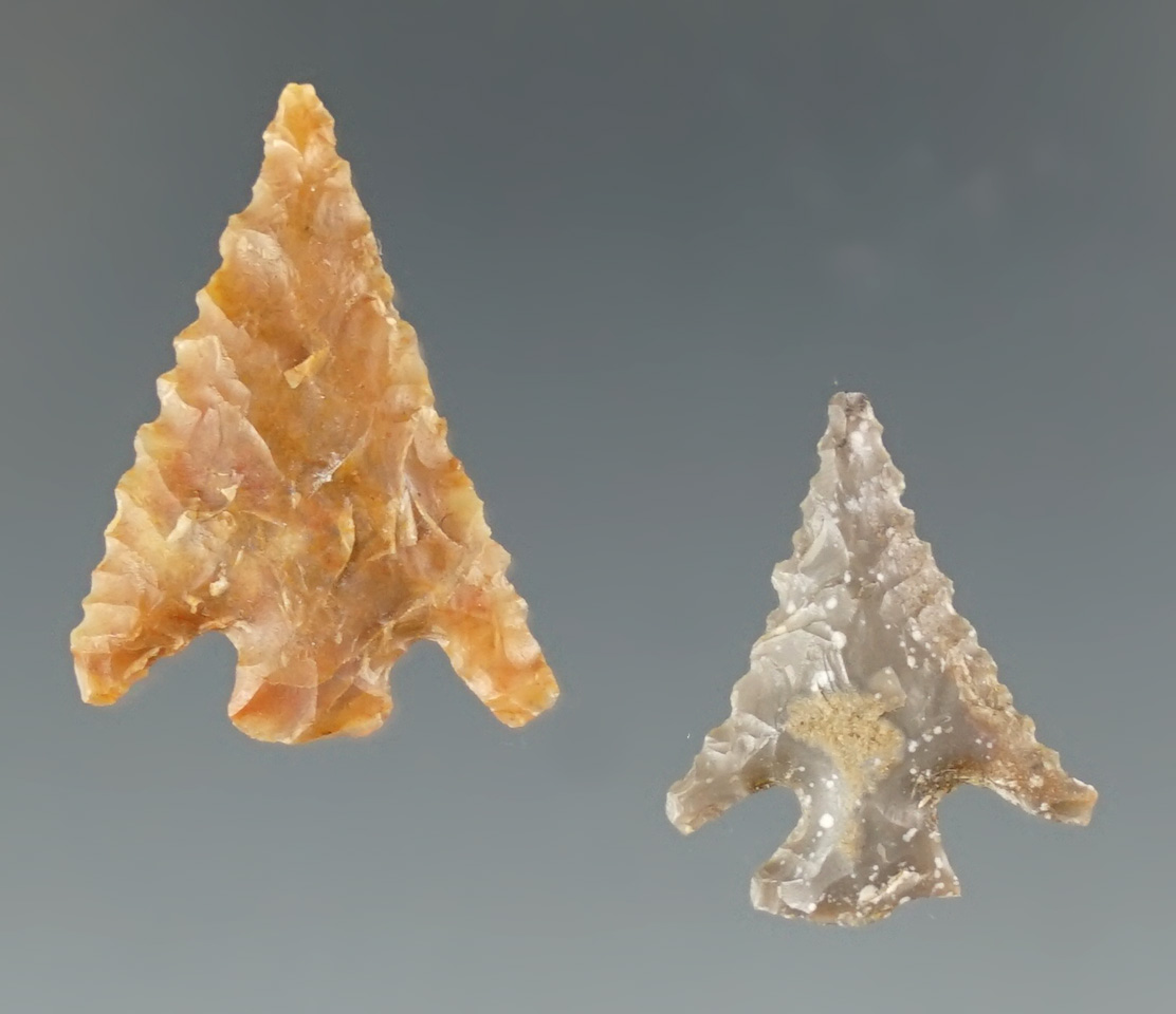 Main artifact image