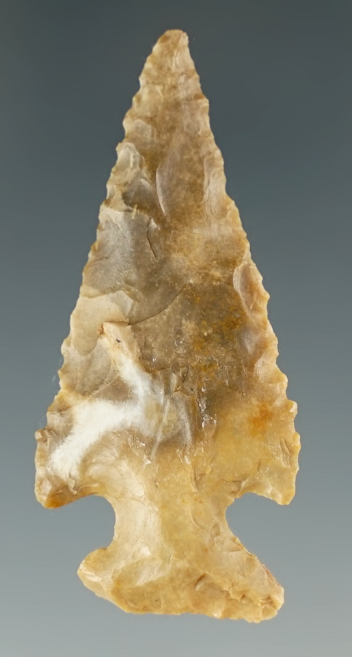 Main artifact image