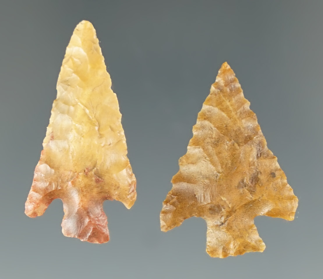 Main artifact image