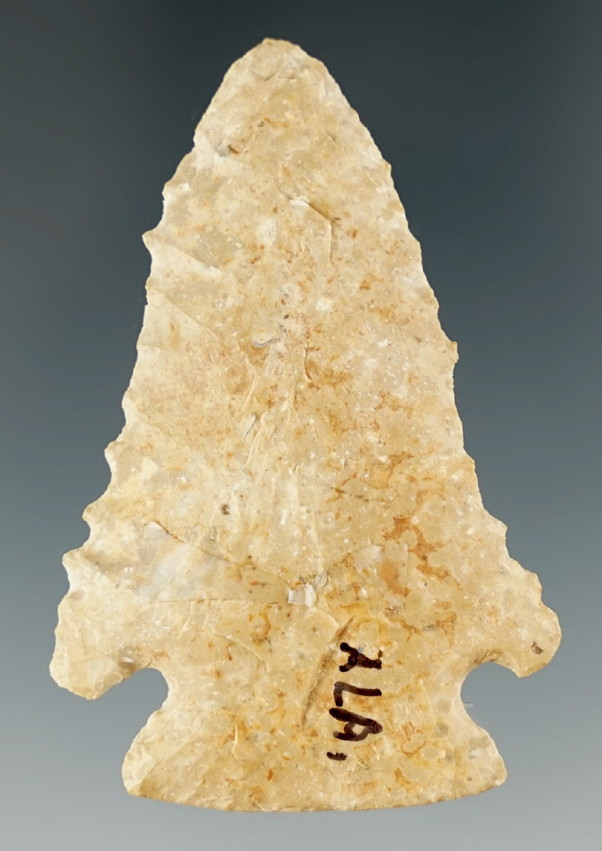 Main artifact image
