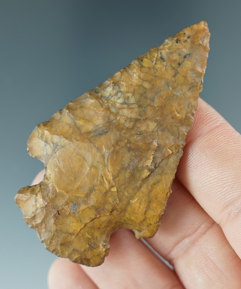 Main artifact image