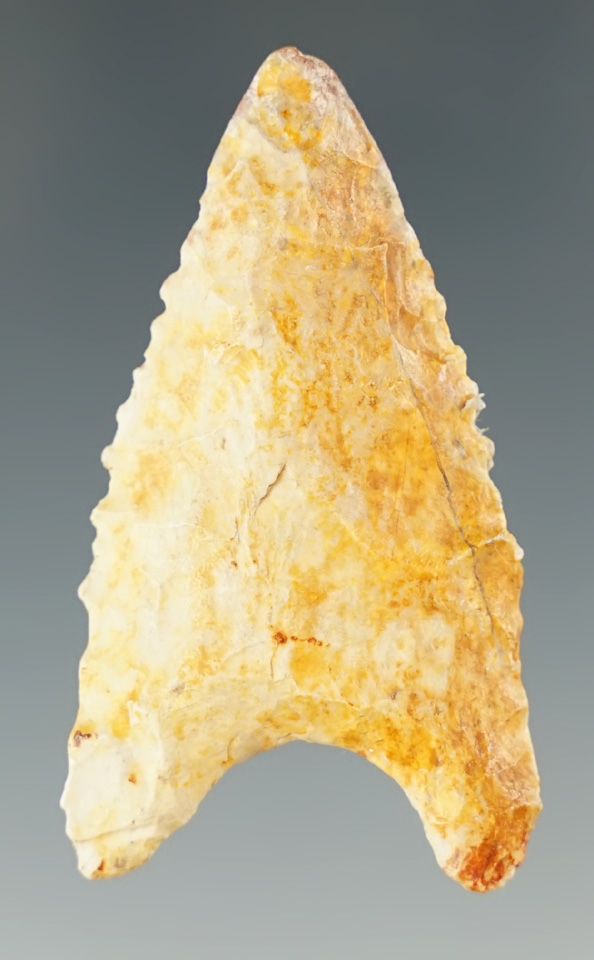1 7/8" heavily patinated serrated Dalton found in St. Louis County Missouri.